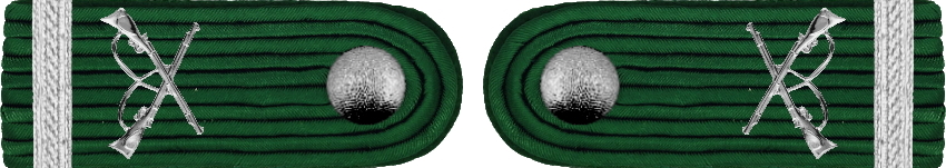 05 Schiewart