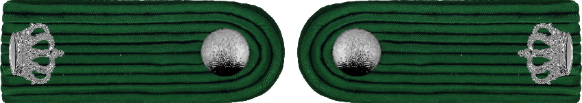 21 Adjutant